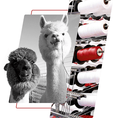 Zafarbená polyesterová priadza